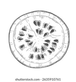 Hand drawn sketch style watermelon half cut vector illustration.
