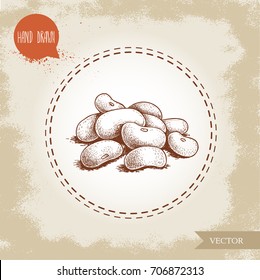 Hand drawn sketch style white beans batch. Vector illustration of healthy diet food isolated on old looking background. Raw food ingredient.