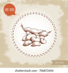 Hand drawn sketch style white beans batch and beans pod. Vector illustration of healthy diet food isolated on old looking background. Raw food ingredient.