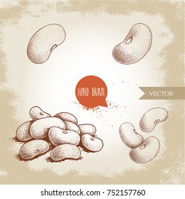 Hand drawn sketch style white beans set. Singles and group. Collection of vector illustration of healthy diet food isolated on old looking background. Raw food ingredient.
