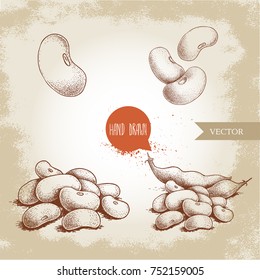 Hand drawn sketch style white beans set. Singles and group. Collection of vector illustration of healthy diet food isolated on old looking background. Raw food ingredient.