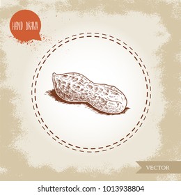 Hand drawn sketch style whole peanut pod. Isolated on old looking background. Organic food, cosmetic component. Vector illustration.