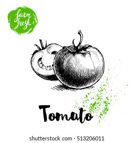 Hand drawn sketch style whole tomatoes whole and half sliced. Eco food vector illustration poster. Farm fresh food.