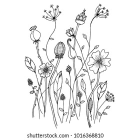 Hand drawn sketch style Wild flowers . Vector illustration.