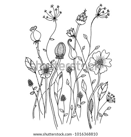 Download Hand Drawn Sketch Style Wild Flowers Stock Vector (Royalty ...