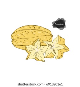 Hand drawn sketch style yellow carambola and sliced carambola on white background. Color illustration.