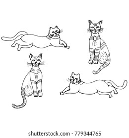 Hand drawn sketch style.Cat. Vector illustration isolated on white background.
