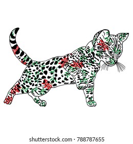Hand drawn sketch style.Cat. Vector illustration isolated on white background.