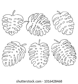 Hand drawn sketch style.Tropical fern.Vector illustration