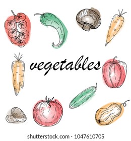 Hand drawn sketch style.Vegetables .Vector illustration .