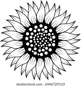 Dibujado a mano Sketch Girasol, arte en línea Girasol ilustración