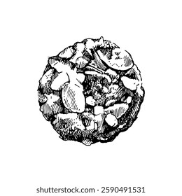 Hand drawn sketch sweet cookie. Vector illustration
