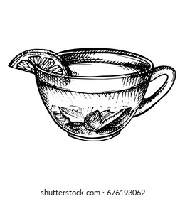 Hand drawn Sketch of Tea. Cup of tea with mint and lime, lemon isolated on white.Doodle Outline. Vintage hot drink