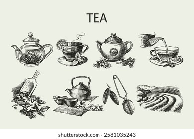 Hand drawn sketch tea set. Isolated illustrations on white background