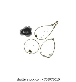 Hand drawn sketch three ripe loquats on white background. Japanese medlar. Vector illustration.