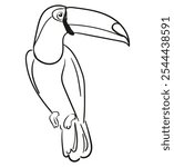 Hand drawn Sketch Toucan Vector Illustration, Hand drawn tropical bird Line Art