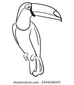 Desenhado à mão esboço Vetor Toucan ilustração, desenhado à mão pássaro tropical linha arte