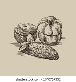 Hand drawn sketch of traditional Azerbaijani dish three sisters dolma. Fried green bell pepper, tomato and eggplant stuffed with minced ground meat	