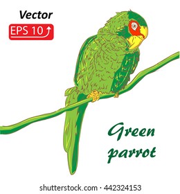 Hand drawn sketch tropical bird green parrot sit on a tree branch, isolated on white Summer concept for party card, ticket, branding, logo, label. Black and white vector illustration
