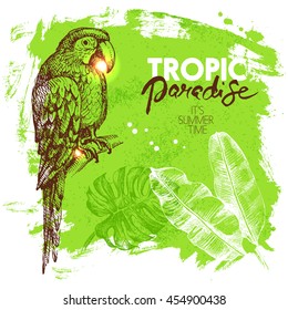 Hand drawn sketch tropical paradise plants and birds background. Vector illustration