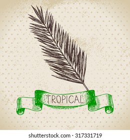 Hand drawn sketch tropical plants vintage background. Vector illustration