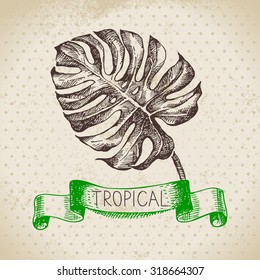 Hand drawn sketch tropical plants vintage background. Vector illustration