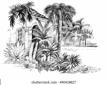 Hand drawn sketch tropical resort illustration. vector