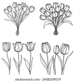 Hand drawn and sketch tulips flower bouquet. Black and white with line art vector illustration. Floral botanical flower.