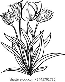 Hand drawn sketch of tulips flower. vector illustration