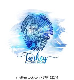 Hand drawn sketch Turkey. Natural Turkey handdrawn background for butcher shop, restaurant menu design. Vector vintage illustration with blue splashes