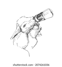 Hand drawn sketch, Two baby goats eating goat's milk, 
eady-made, natural flavor from a milk bottle,Illustration.