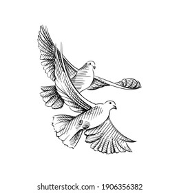 Hand drawn sketch of two flying doves. Doves as symbol of love on a white background. Wedding theme. Celebration and festivities. Accessories for wedding