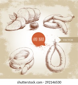 Hand drawn sketch type set of sausages. Organic food vintage illustration.