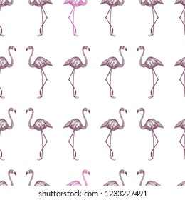 Hand drawn sketch vector flamingo bordo and pink color seamless pattern white background