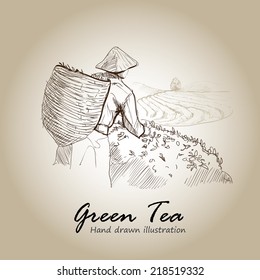 Hand drawn sketch vector green tea background.