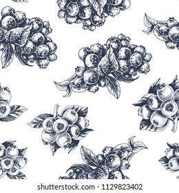 Hand drawn sketch vector iilustration bilberry. Pattern with bilberry.