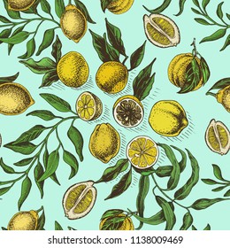 Hand drawn sketch vector iilustration cutrus. Pattern with exotic fruits.