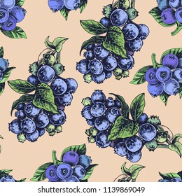 Hand drawn sketch vector iilustration bilberry. Pattern with bilberry.