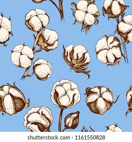 Dibujo manual de la ilustración vectorial algodón. Patrón con algodón.