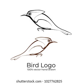 Hand drawn sketch. Vector illustration background. logo of bird. vector image. isolated on a white background. Wild Animals. Vector illustration. Icon.     