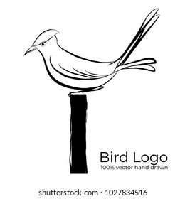 Hand drawn sketch. Vector illustration background. logo of bird. vector image. isolated on a white background. Wild Animals. Vector illustration. Icon.