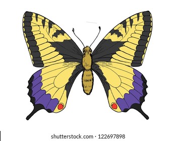 Hand drawn, sketch, vector illustration of swallowtail butterfly