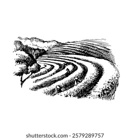Hand drawn sketch vector tea landscape illustration