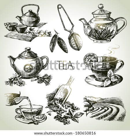 Hand Drawn Sketch Vector Tea Set Stock Vector (Royalty Free) 180650816 ...