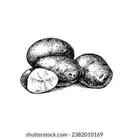 Patatas huecas dibujadas a mano. Comida ecológica.Ilustración vectorial en blanco y negro