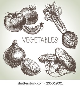 Hand drawn sketch vegetable set. Eco foods.Vector illustration