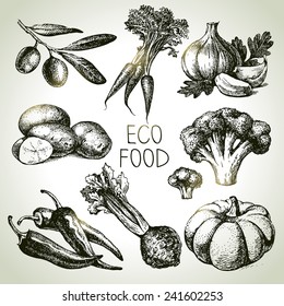 Conjunto de vegetais esboço desenhado à mão. Eco Foods.Ilustração vetorial