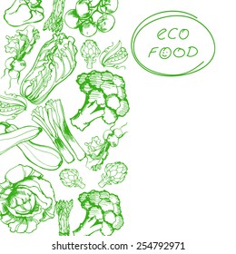 Hand drawn sketch vegetable set. Eco foods. With place for text. Vector illustration