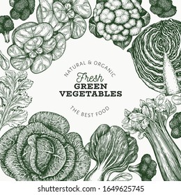 Hand drawn sketch vegetables design. Organic fresh food vector banner template. Vintage vegetable background. Engraved style botanical illustrations.