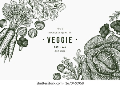 Hand drawn sketch vegetables design. Organic fresh food vector banner template. Retro vegetable background. Engraved style botanical illustrations.